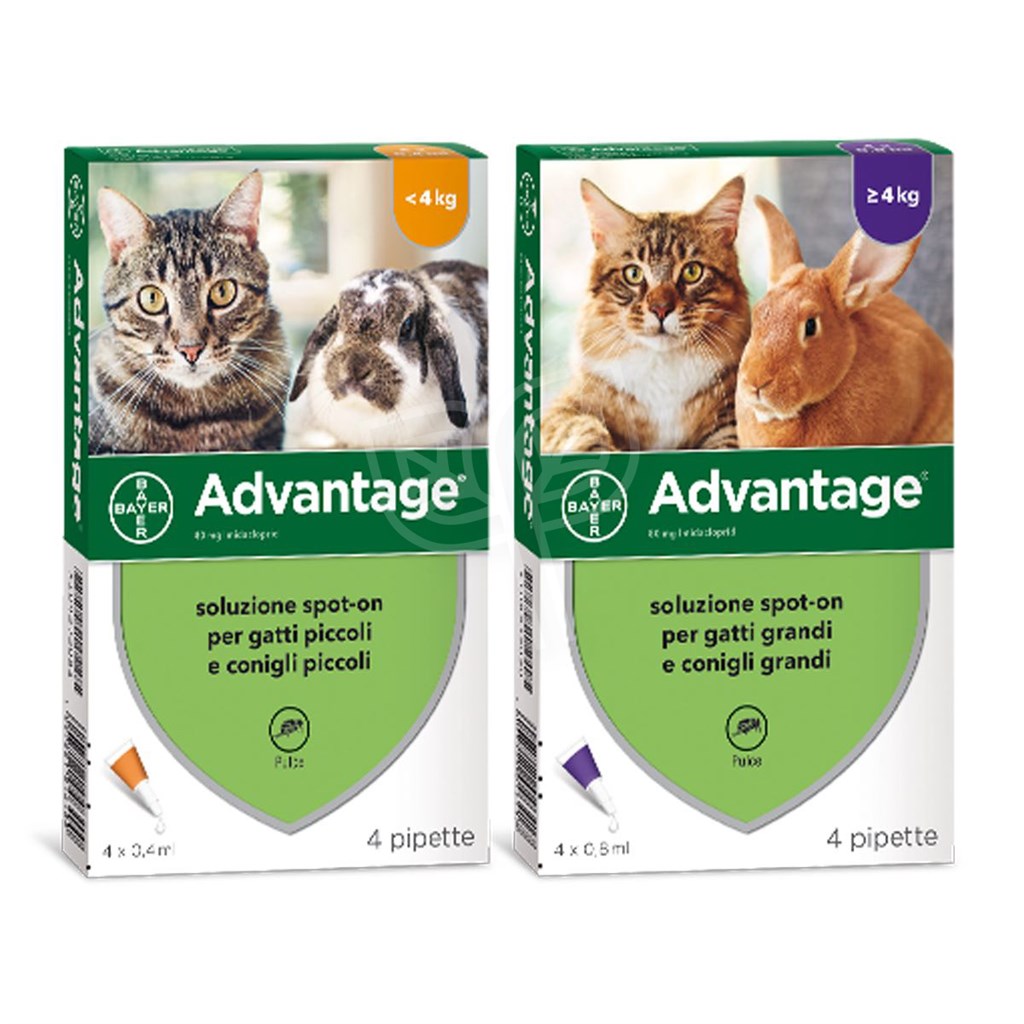 ADVANTAGE BAYER GATTO CONIGLIO PICCOLO E GRANDE